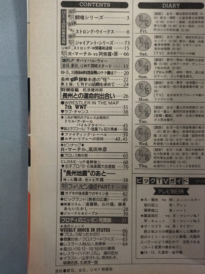 週刊ビッグレスラー7