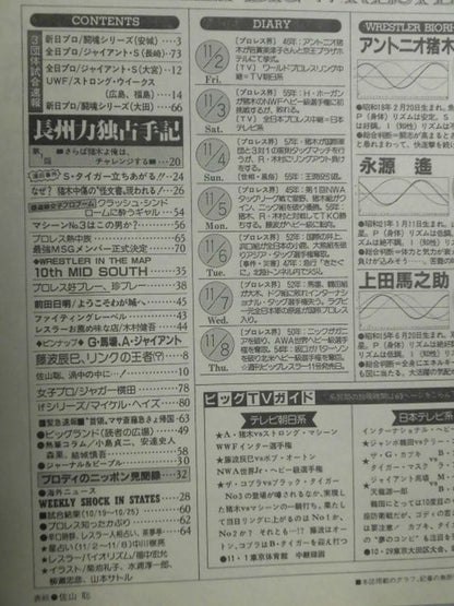 週刊ビッグレスラー10