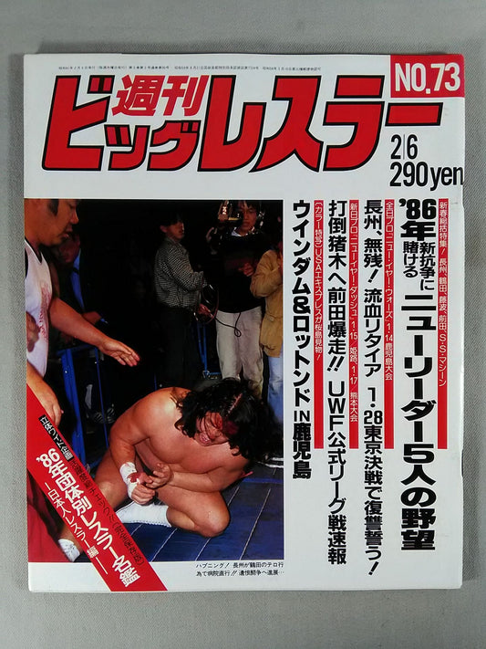 週刊ビッグレスラー73