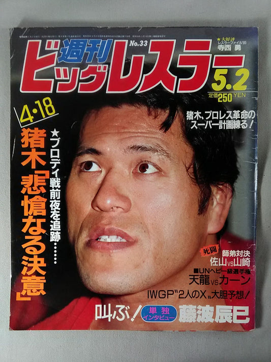 週刊ビッグレスラー33
