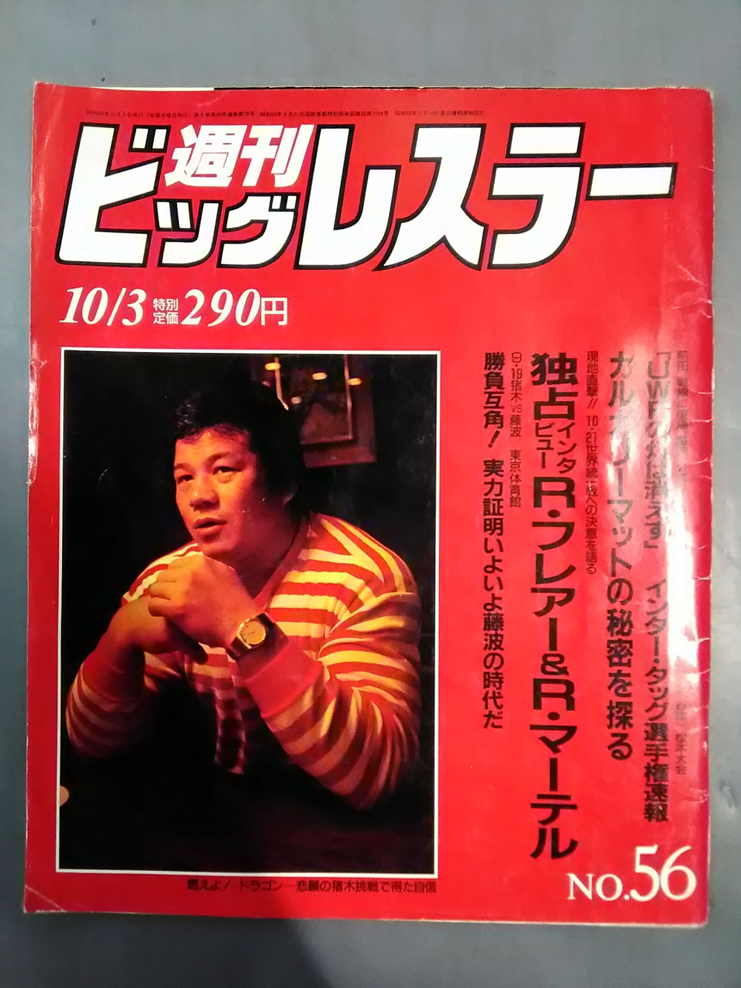 週刊ビッグレスラー56