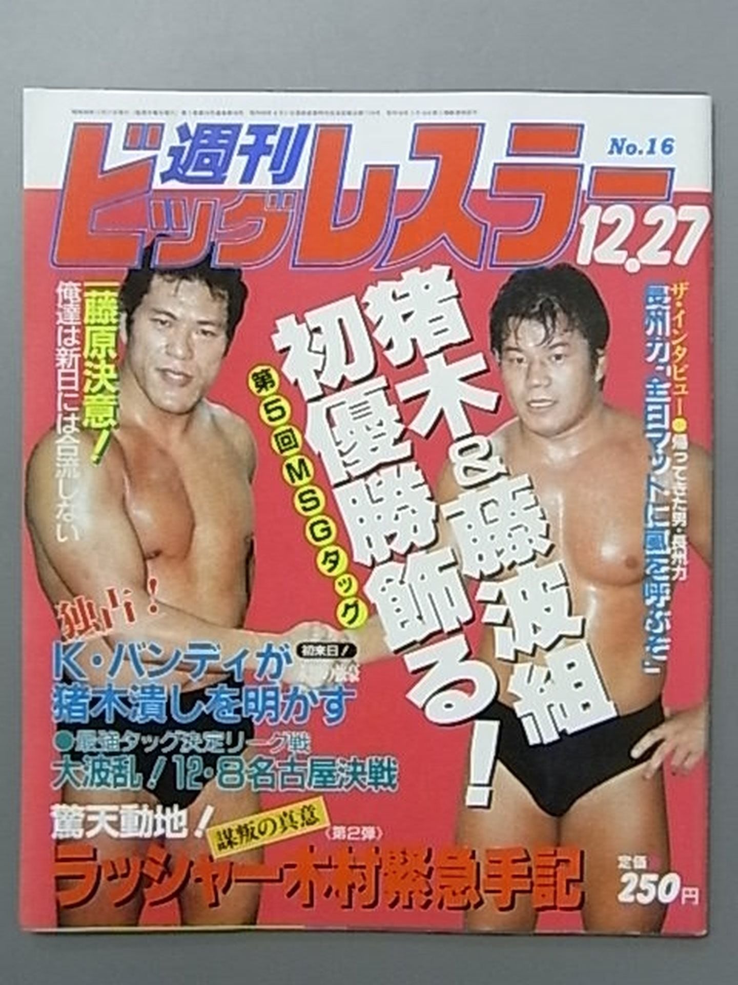 週刊ビッグレスラー16