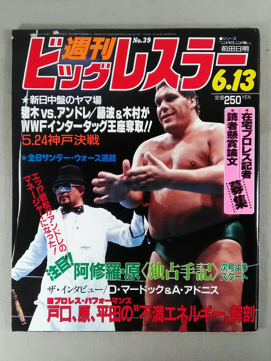 Weekly Big Wrestler 39