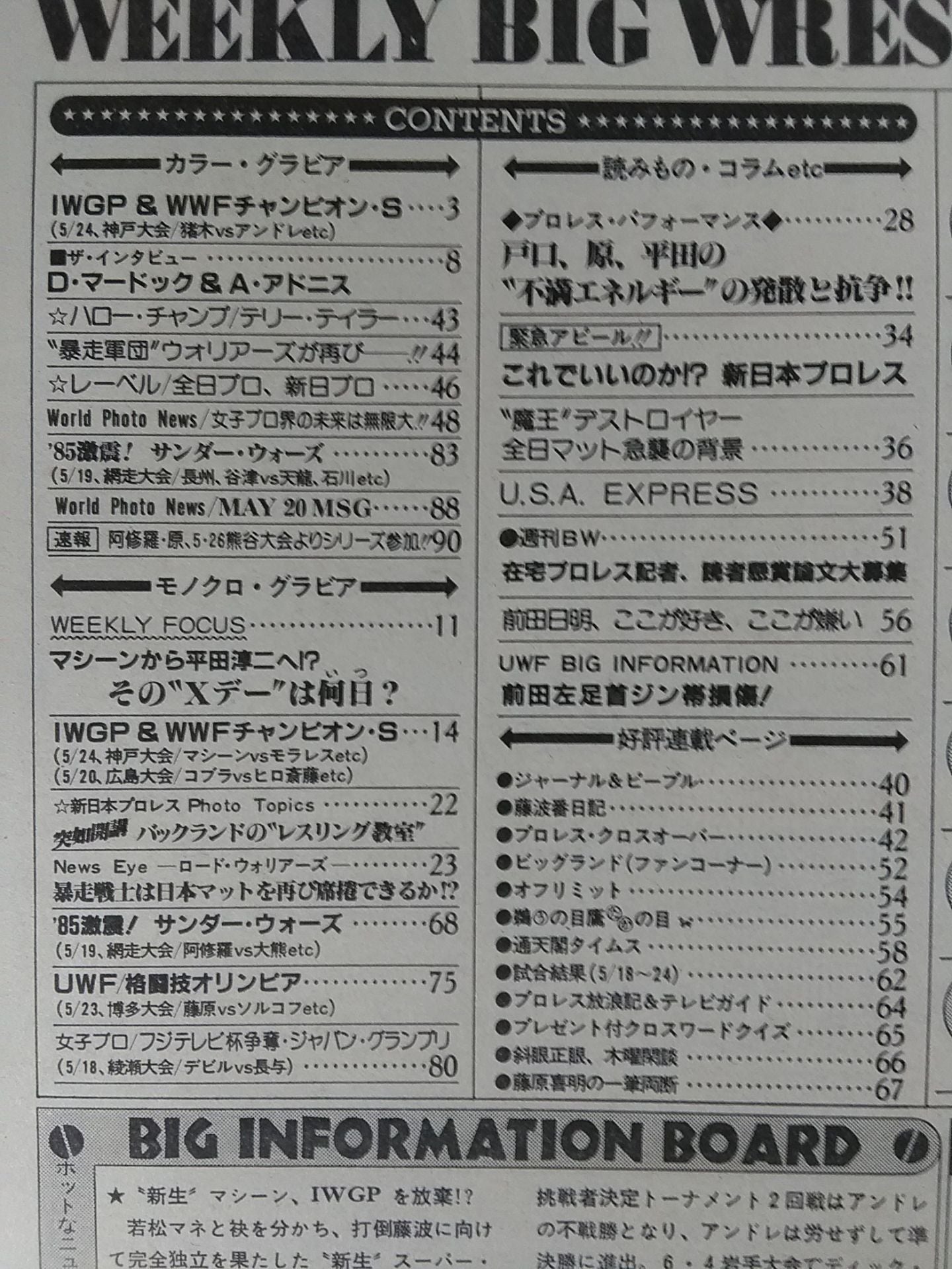 Weekly Big Wrestler 39