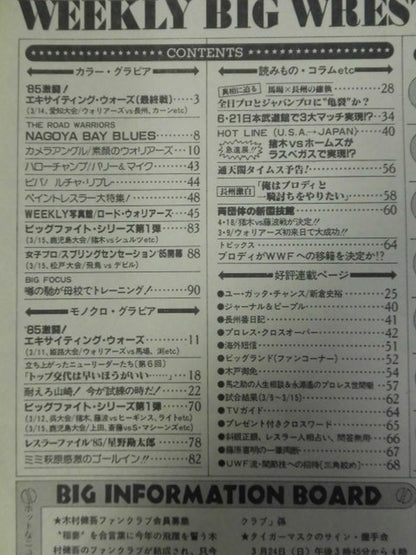 週刊ビッグレスラー29