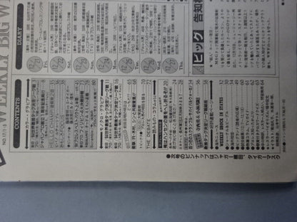 週刊ビッグレスラー17