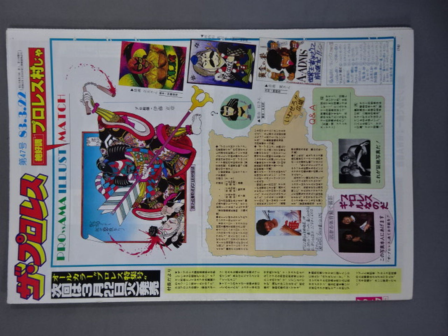 ザ・プロレス47