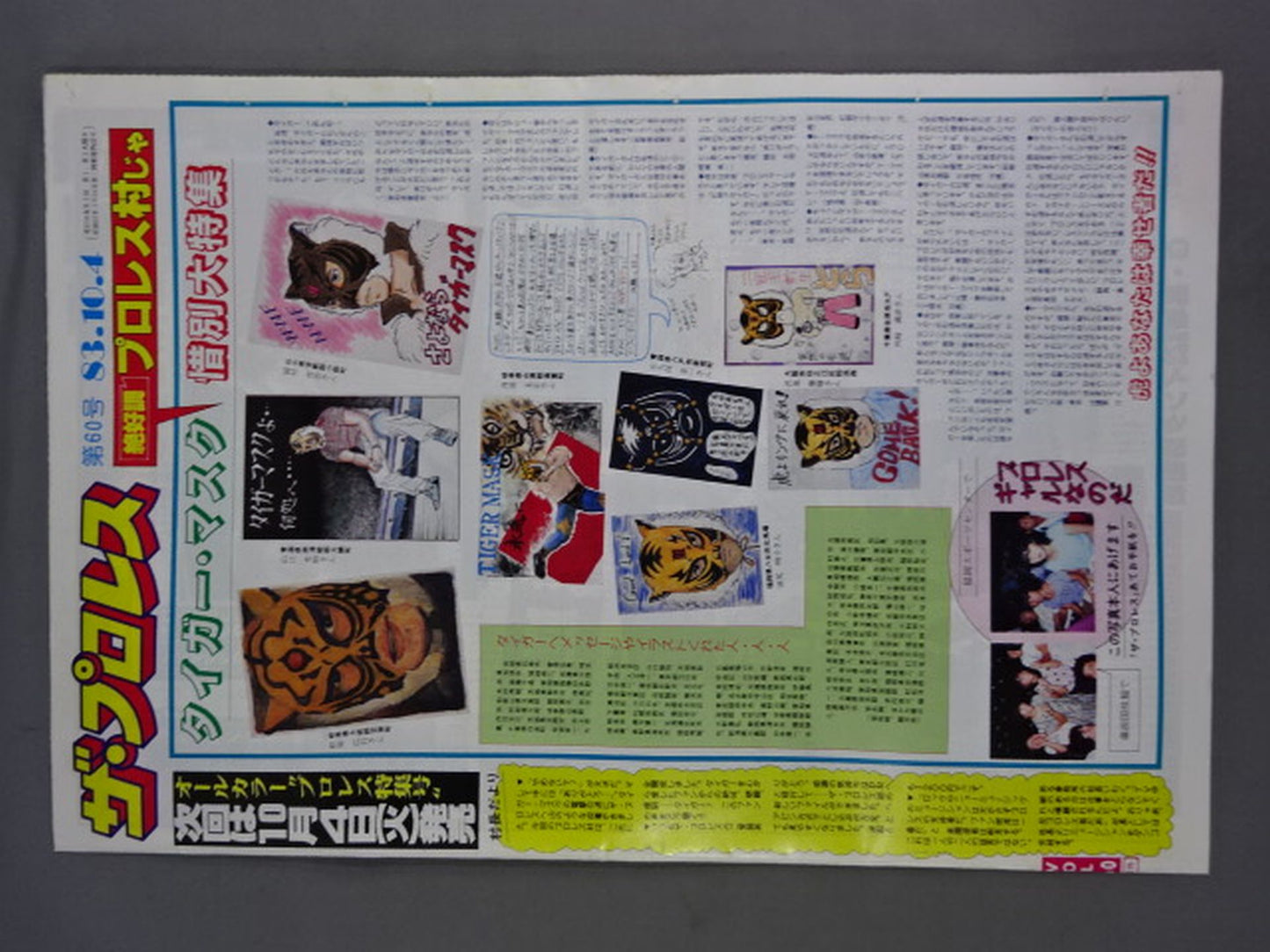 ザ・プロレス60