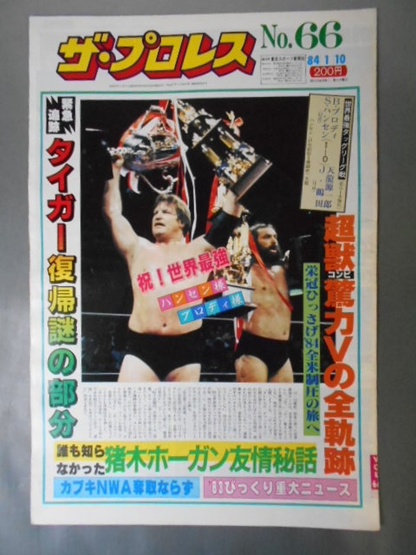 ザ・プロレス66