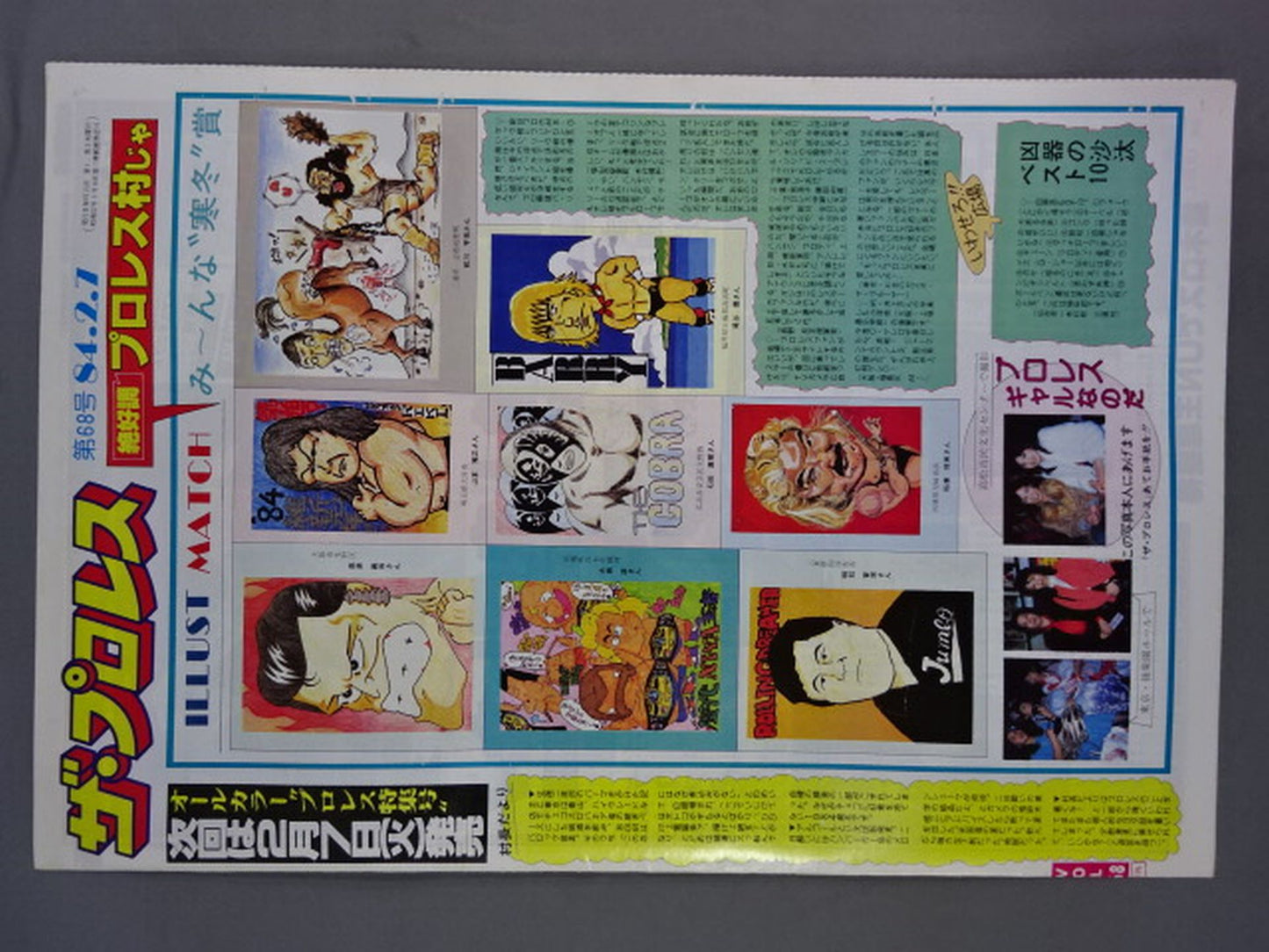 ザ・プロレス68