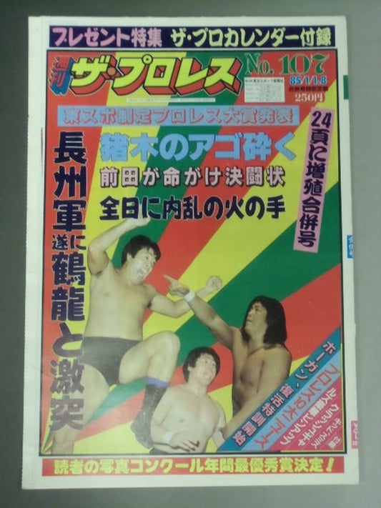 週刊ザ・プロレス107