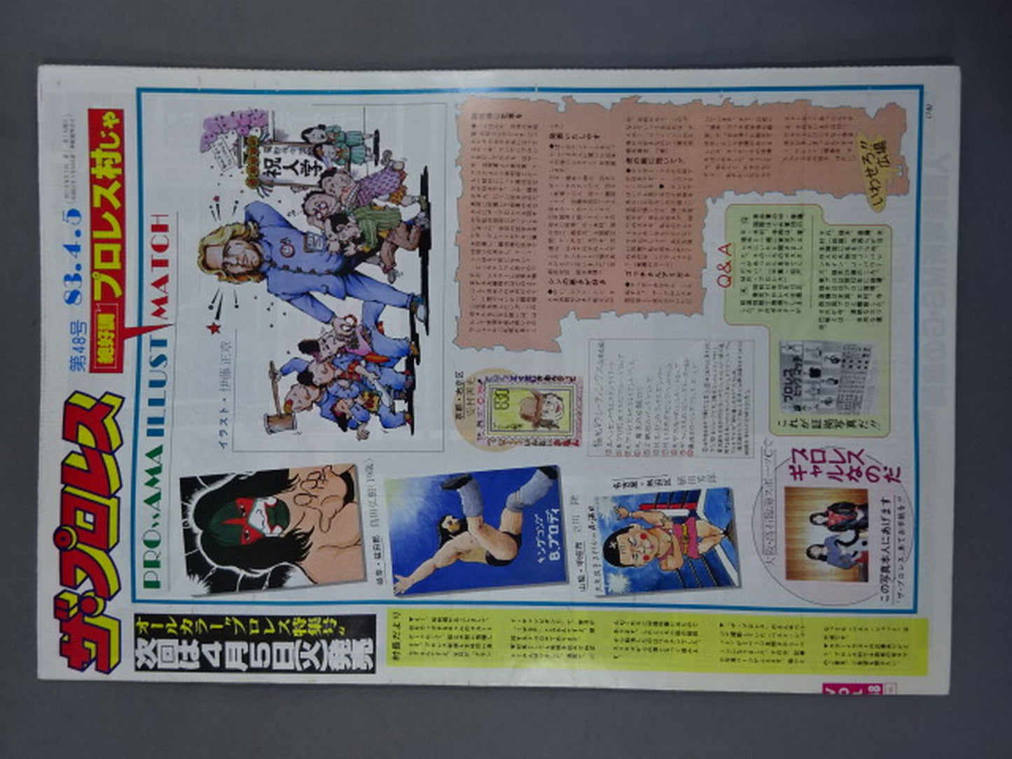 ザ・プロレス48
