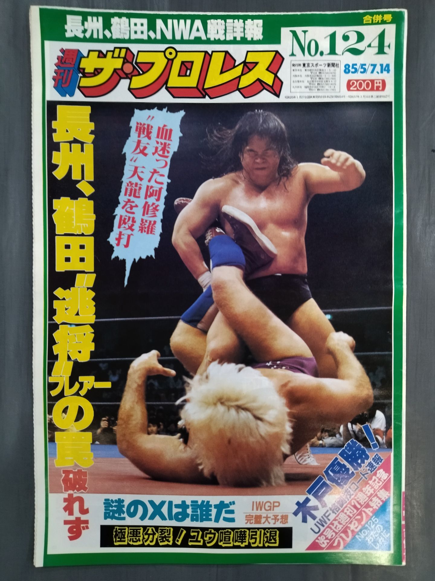 週刊ザ・プロレス124