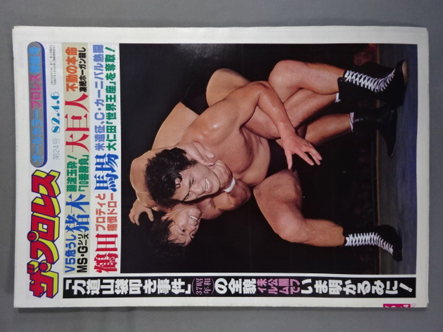ザ・プロレス24