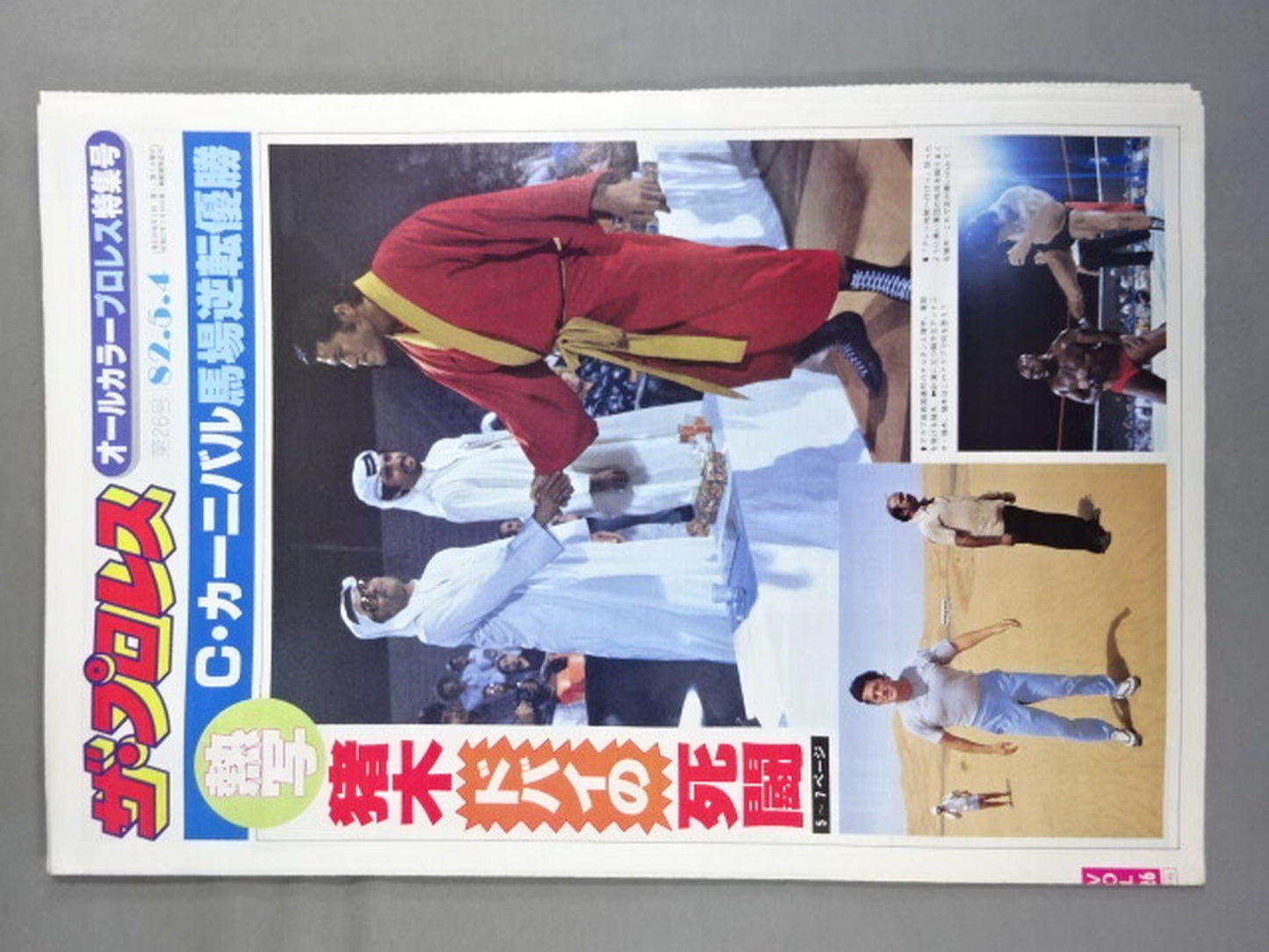 ザ・プロレス26