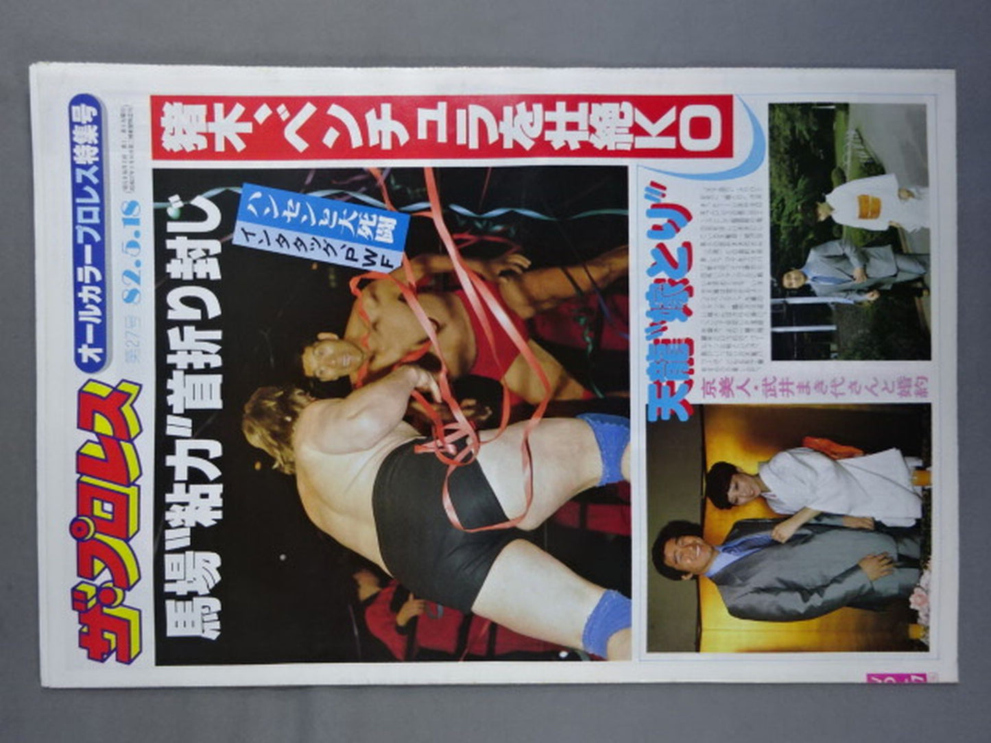 ザ・プロレス27