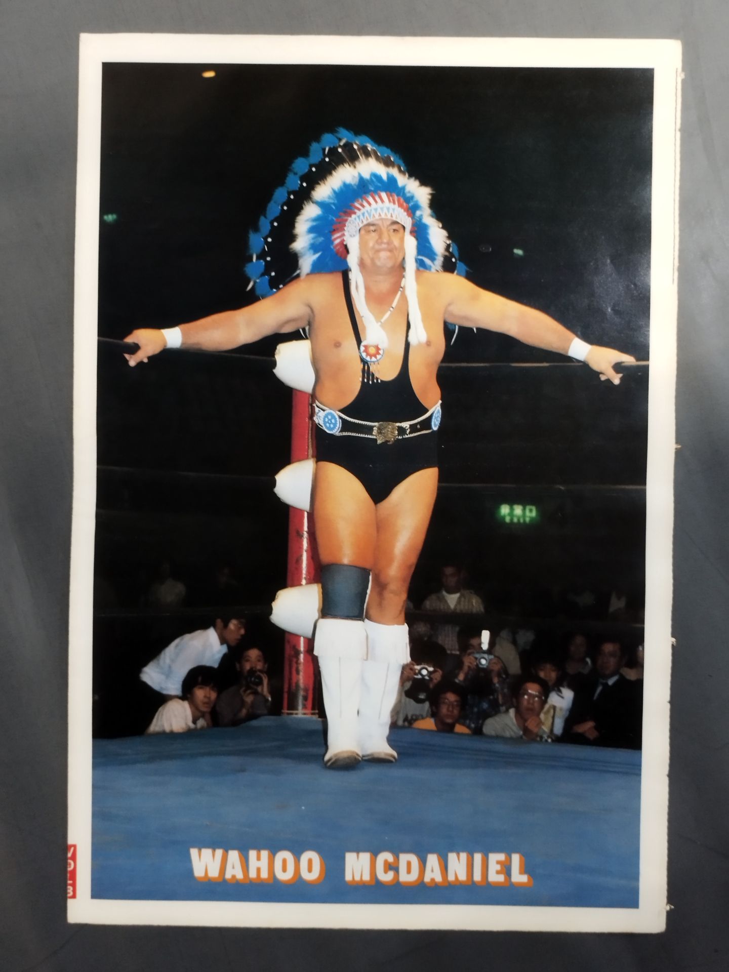 ザ・プロレス8
