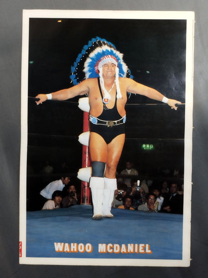 ザ・プロレス8