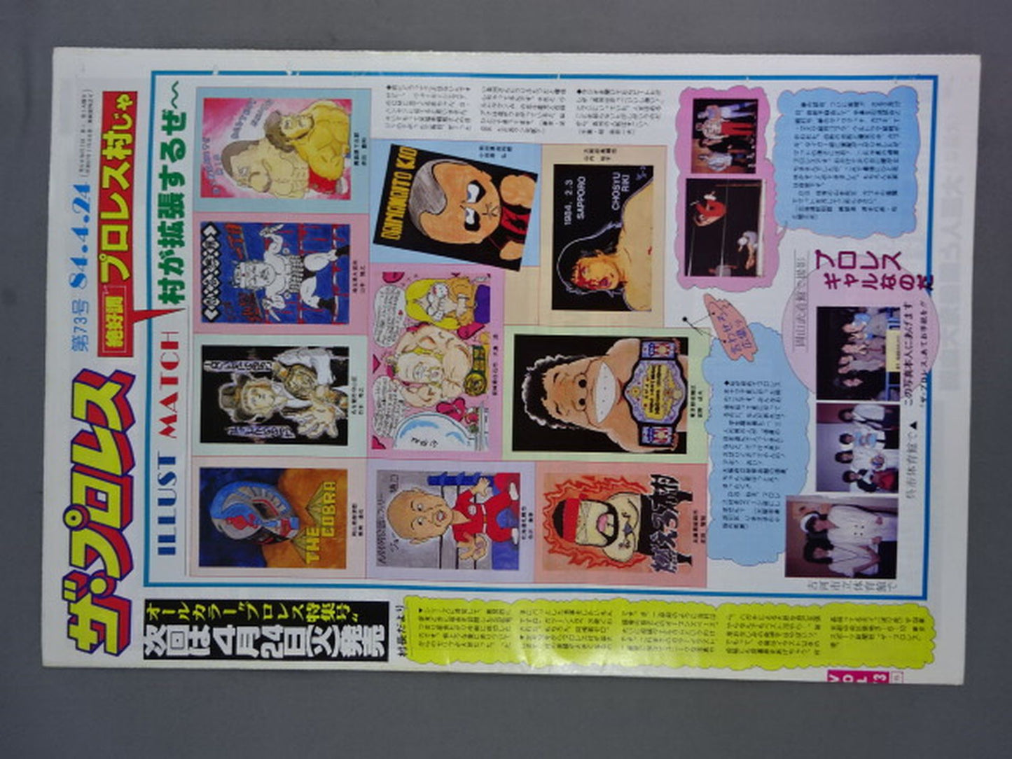 The Pro Wrestling 73