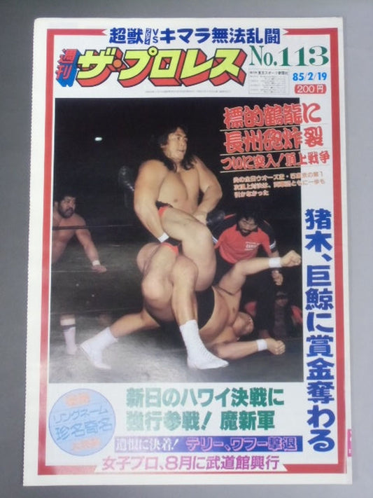 週刊ザ・プロレス113