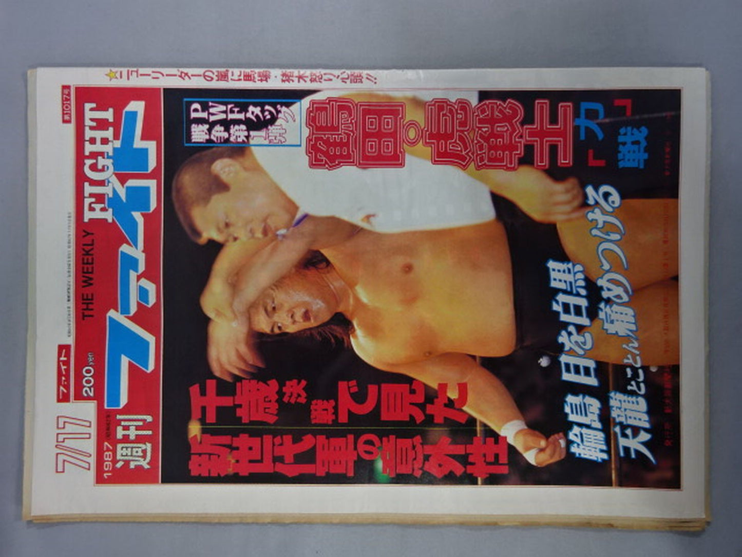 週刊ファイト1017