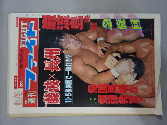 週刊ファイト1029