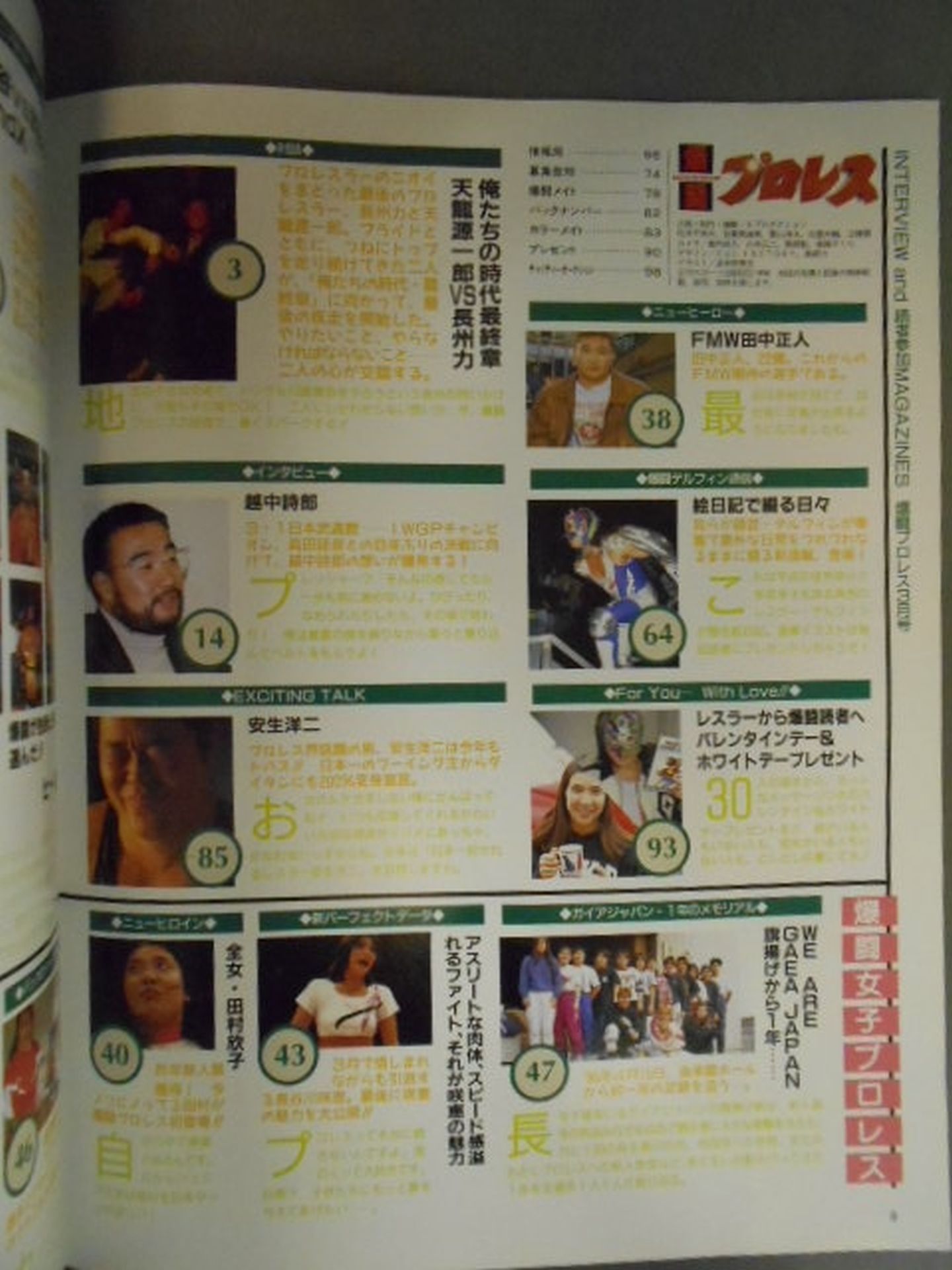 爆闘プロレス22