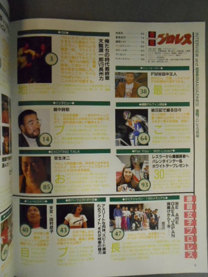 爆闘プロレス22