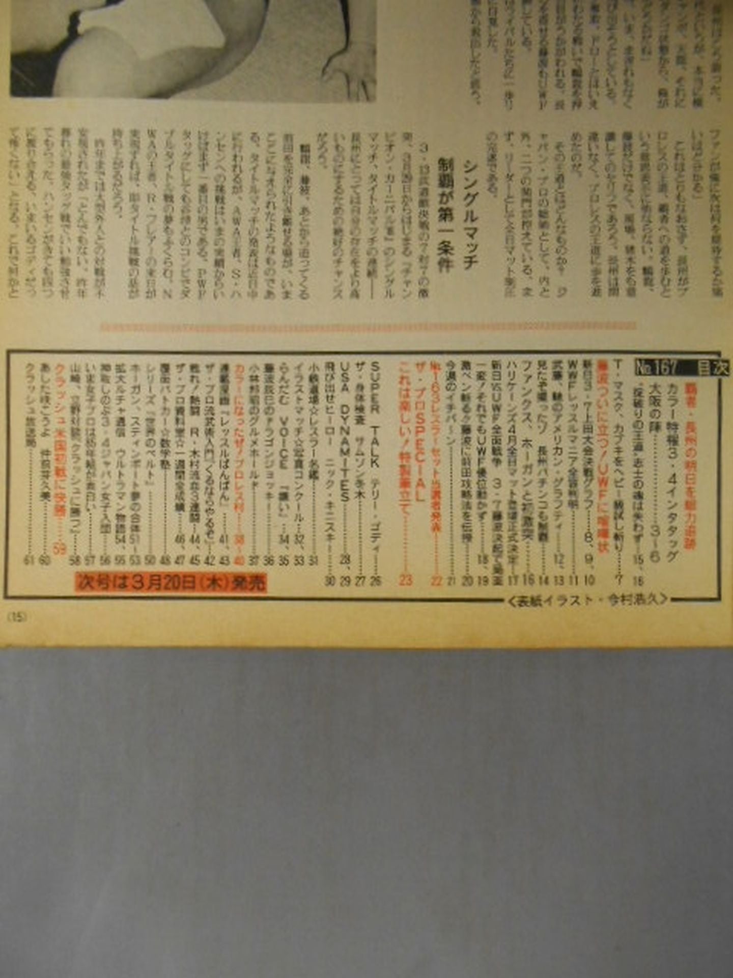 Weekly The Pro Wrestling  167