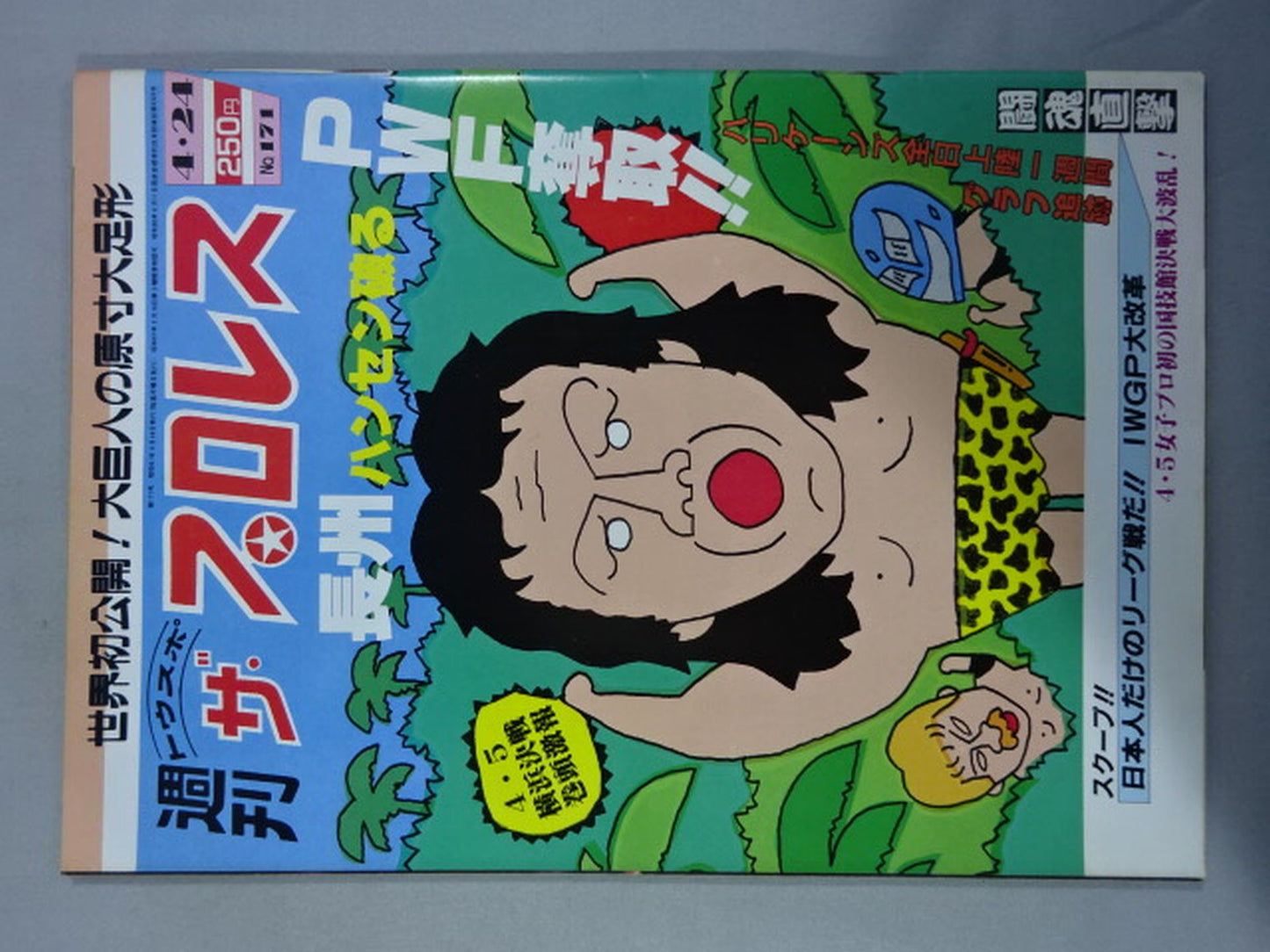 週刊ザ・プロレス171