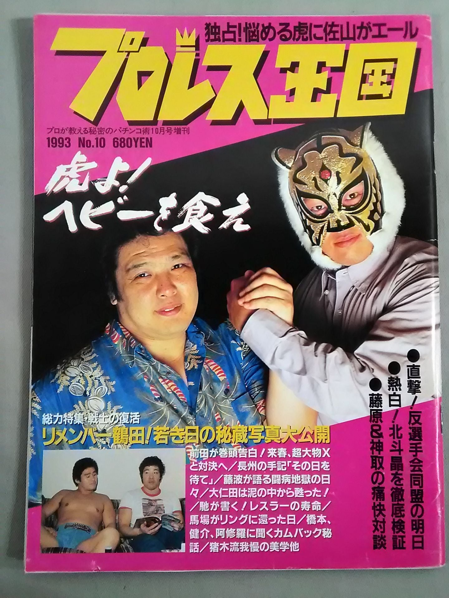 Pro Wrestling Kingdom 10