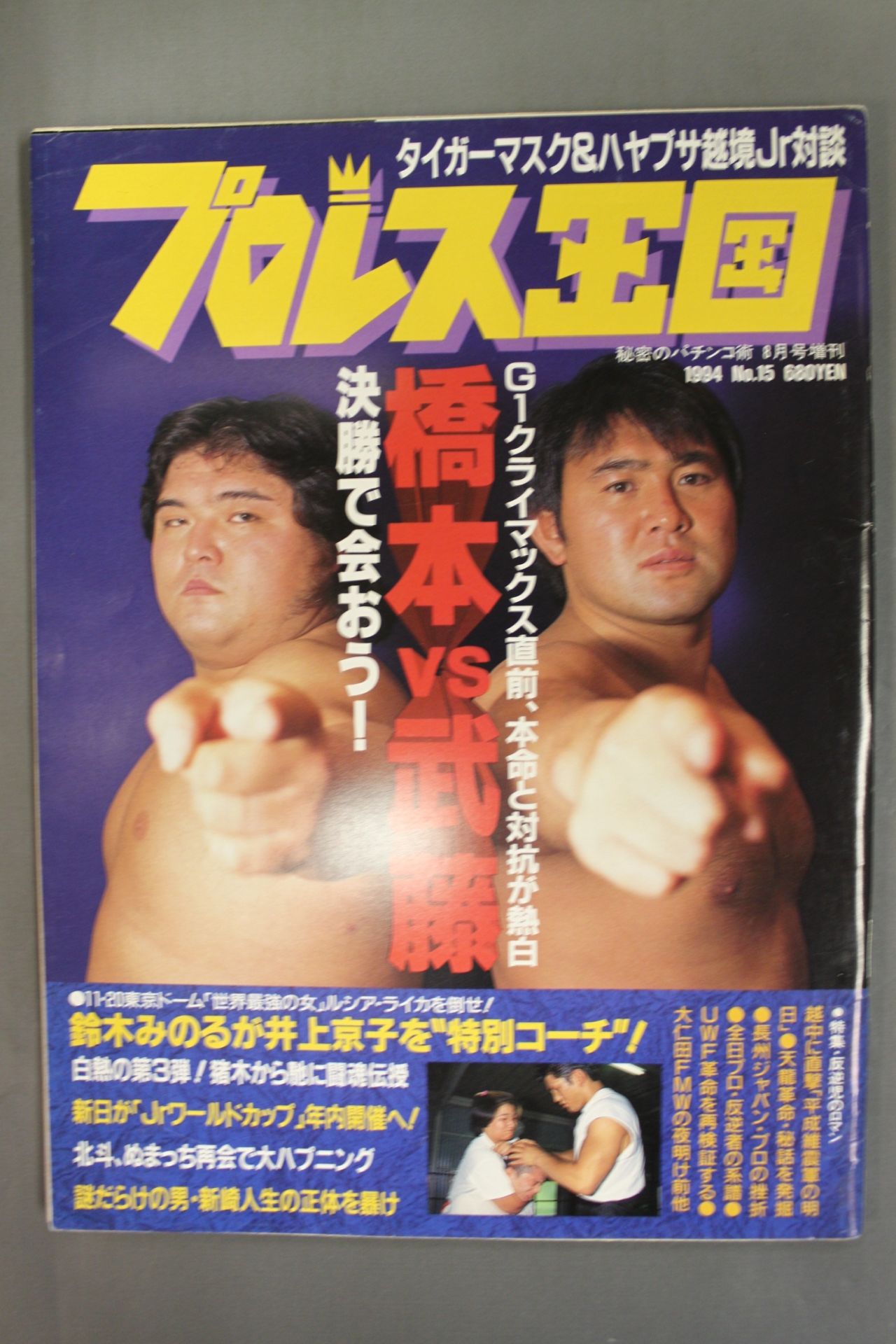 プロレス王国15