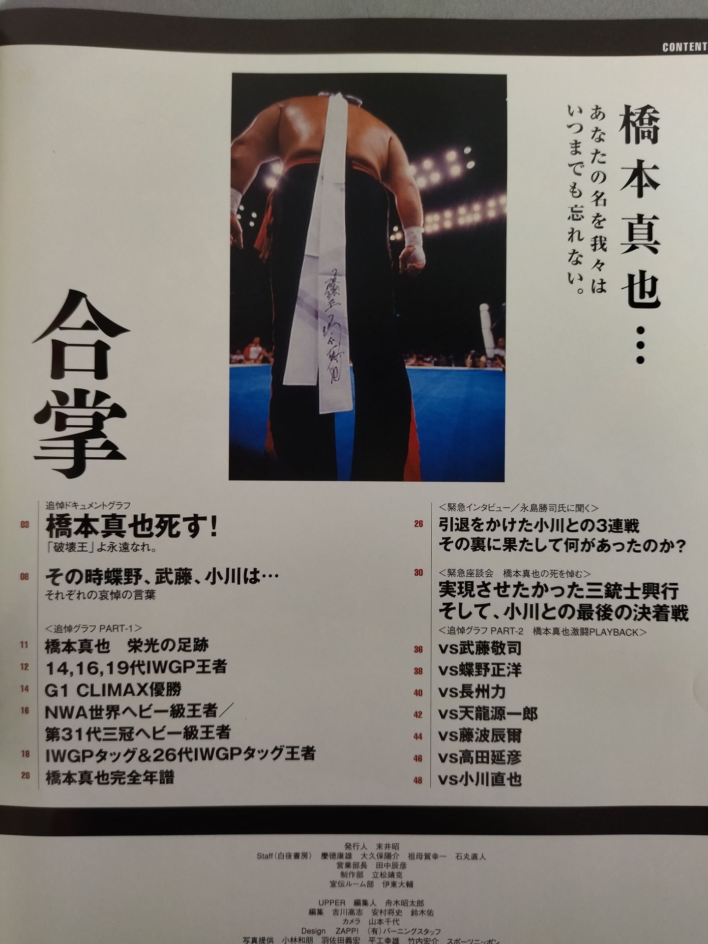 Shinya Hashimoto  Memorial Special Issue "King of Destruction", be forever.