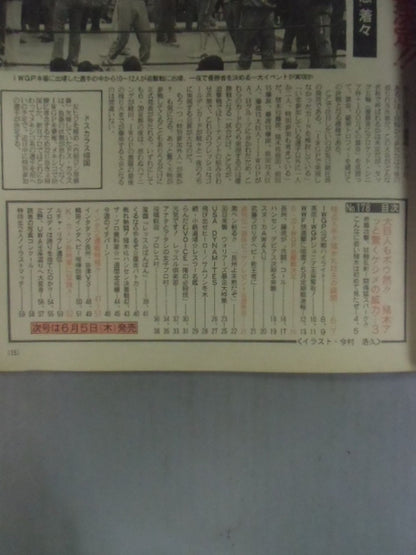 Weekly  The Pro Wrestling  178