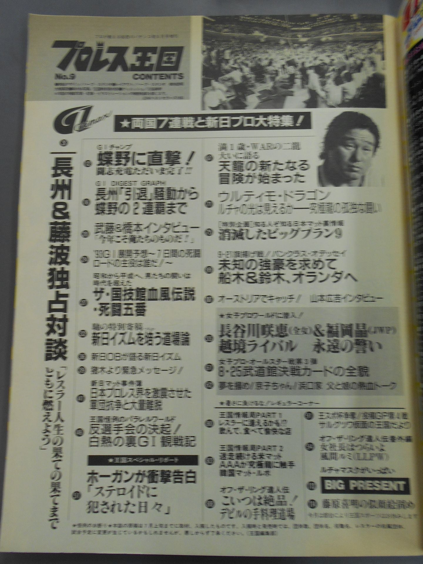 Pro Wrestling  Kingdom 9