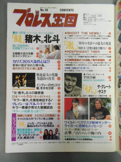 Pro Wrestling Kingdom 18