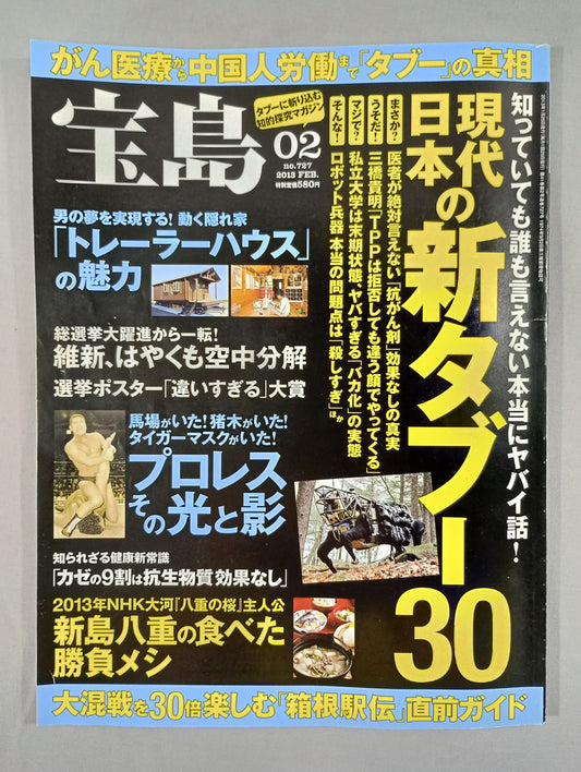 宝島 2013年2月号