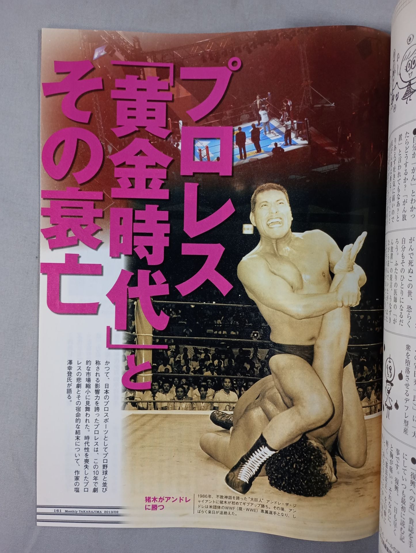 宝島 2013年2月号