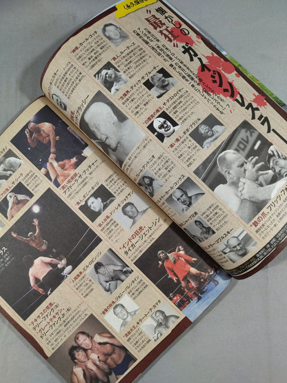 週刊ポスト 2012年4月13日号