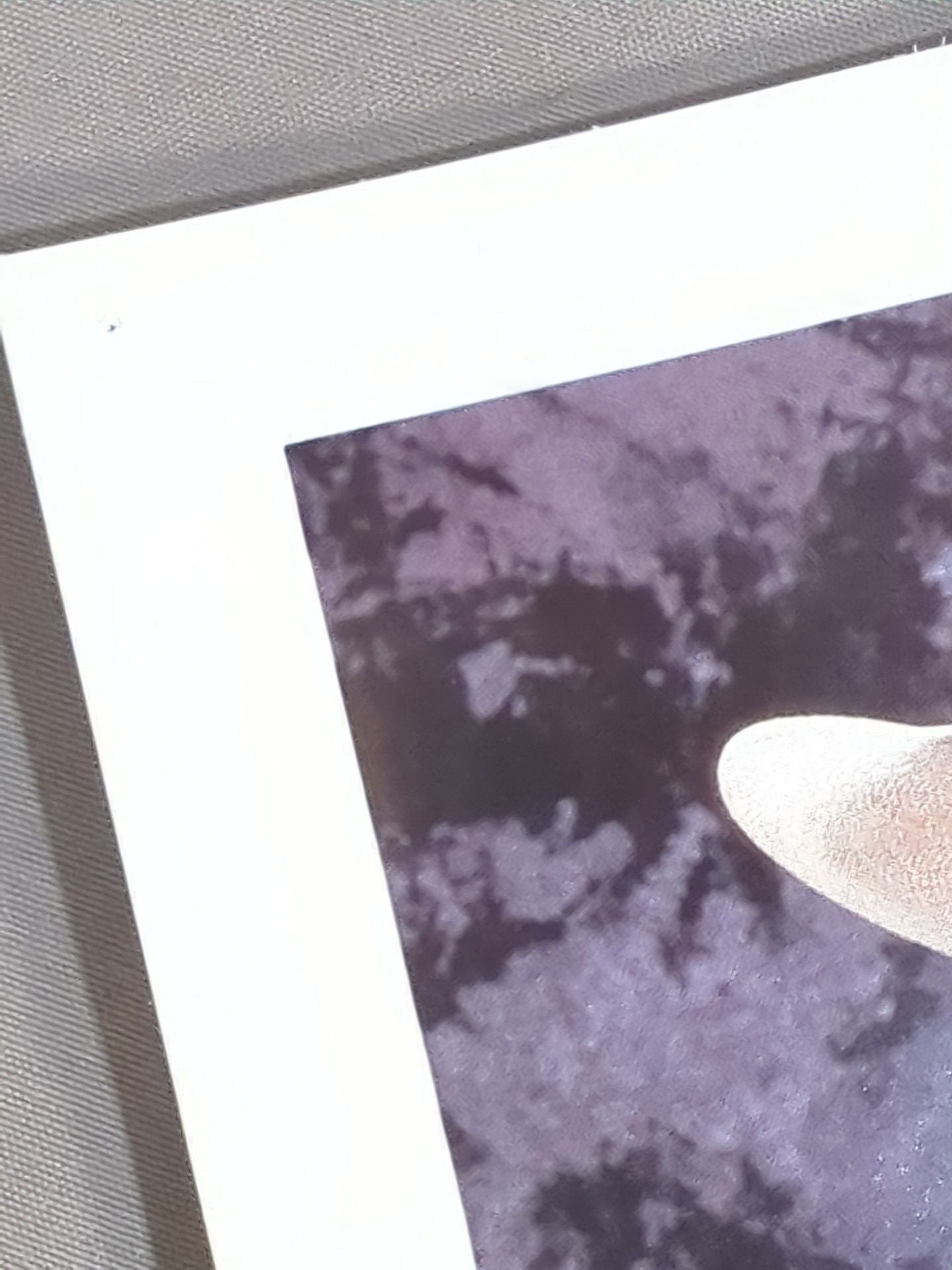 スモーキング･ガンズ WWFオフィシャル ポートレート (1993)