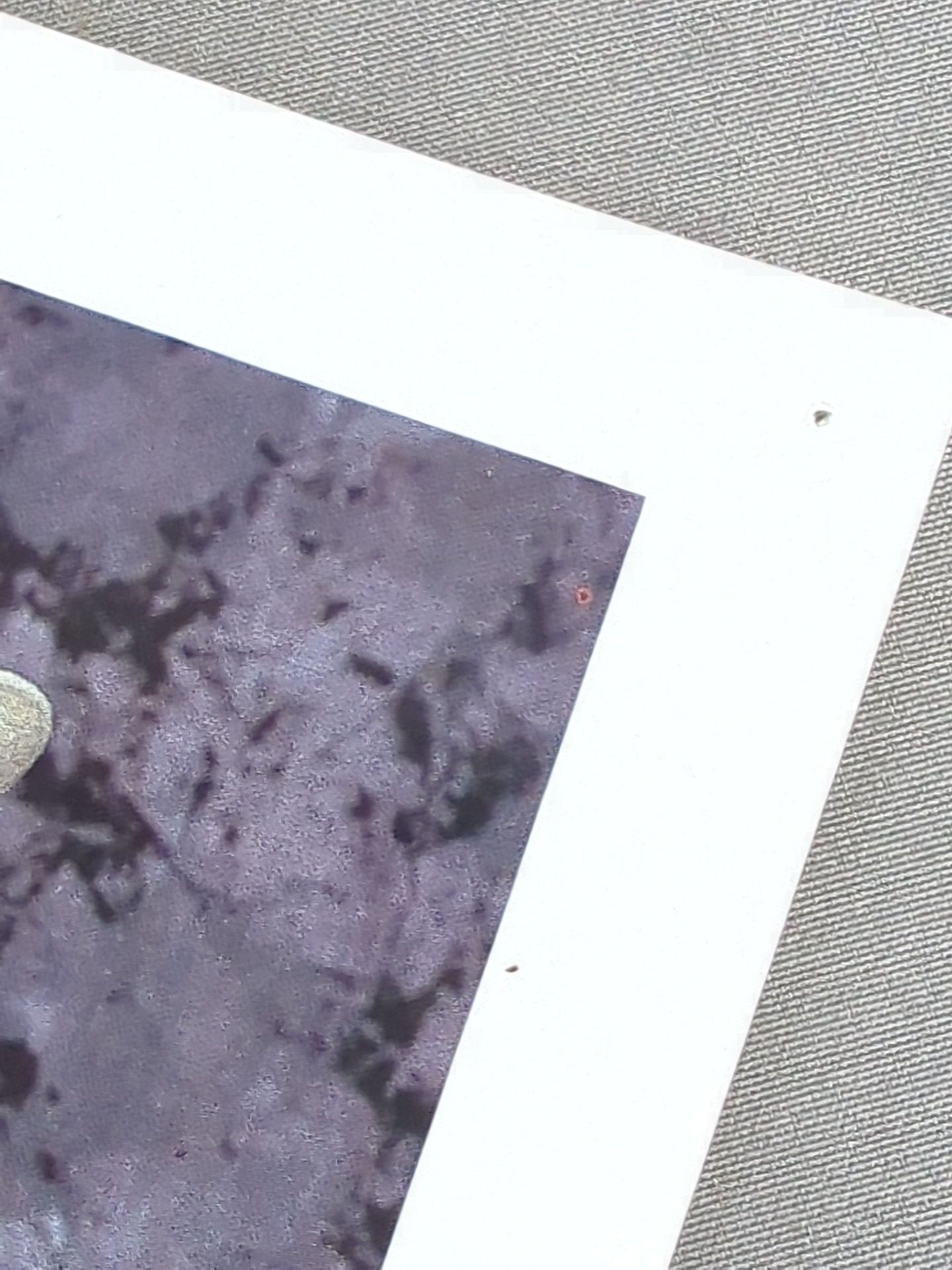 スモーキング･ガンズ WWFオフィシャル ポートレート (1993)