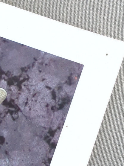 スモーキング･ガンズ WWFオフィシャル ポートレート (1993)