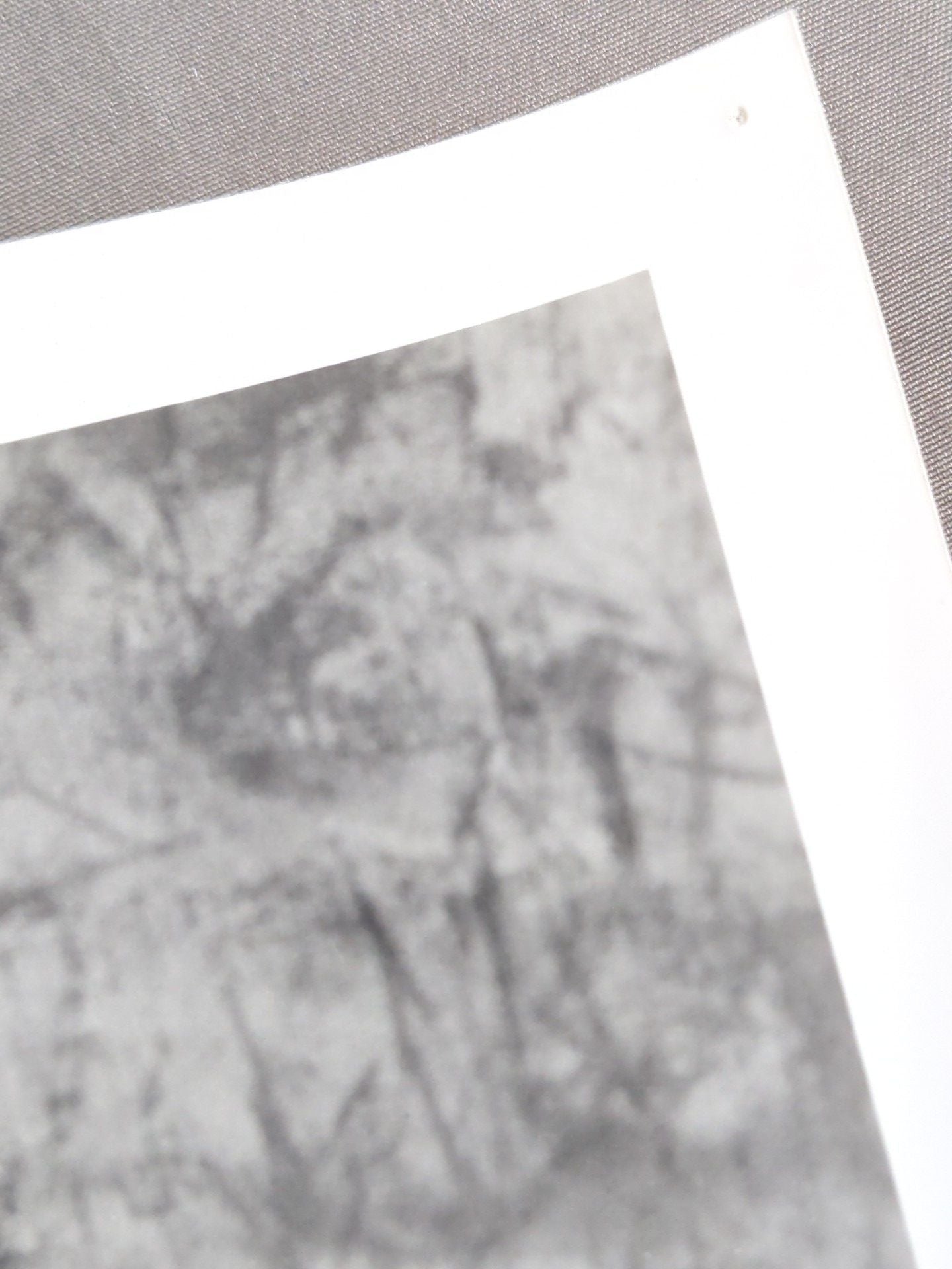 Sparky Plug WWF Official Black and WhitePro-Photo  (1994)