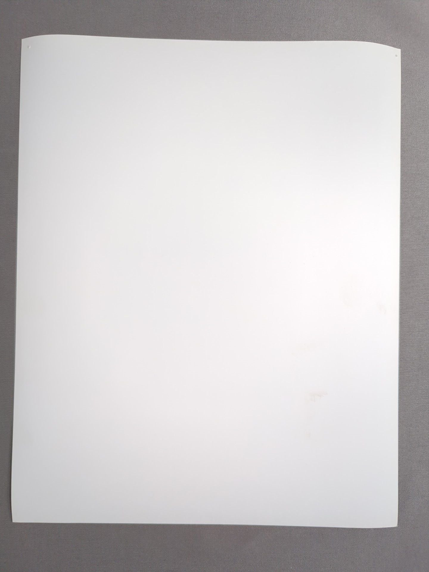 Sparky Plug WWF Official Black and WhitePro-Photo  (1994)