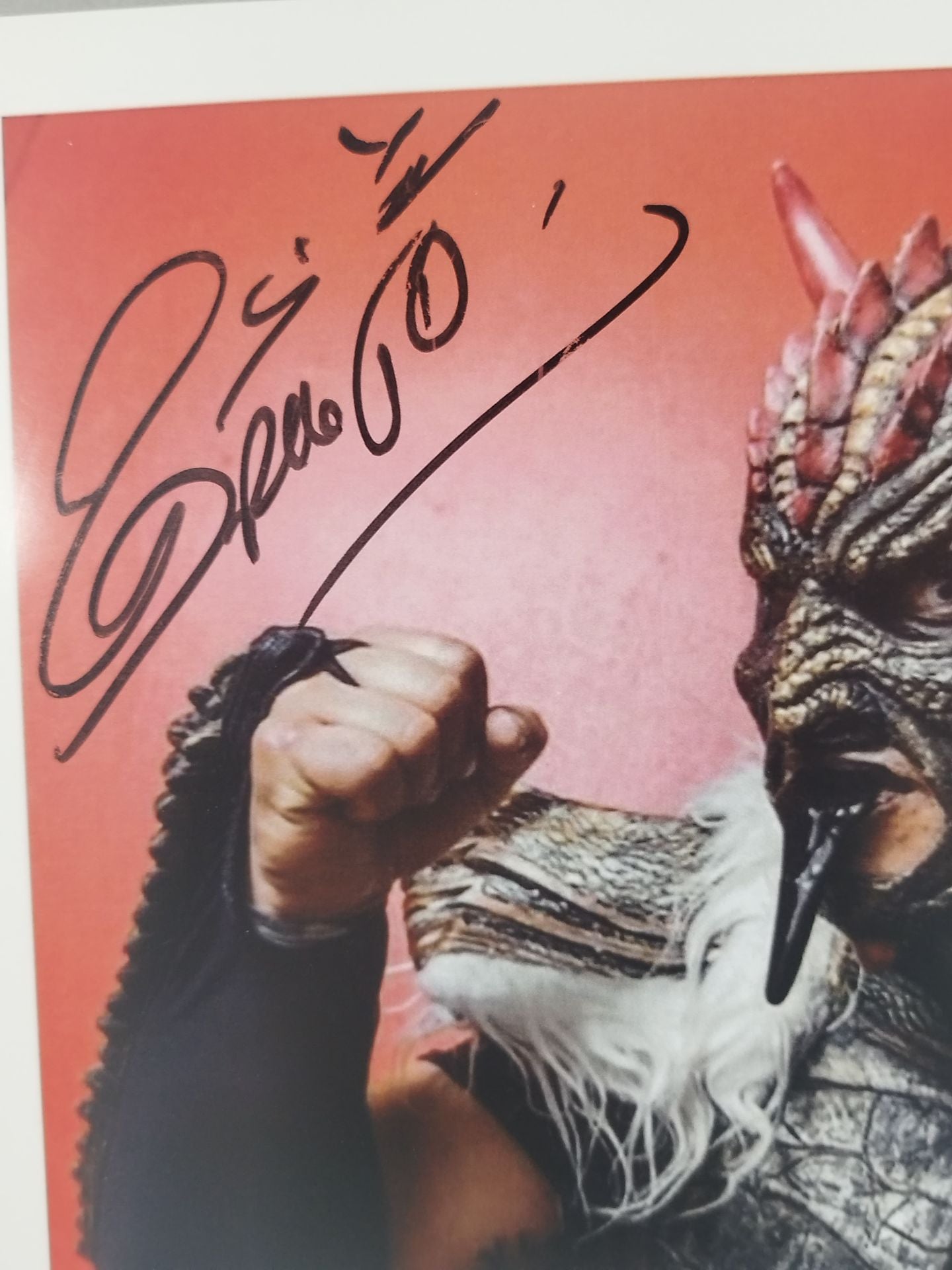 ドラゴ 直筆サイン入りポートレート