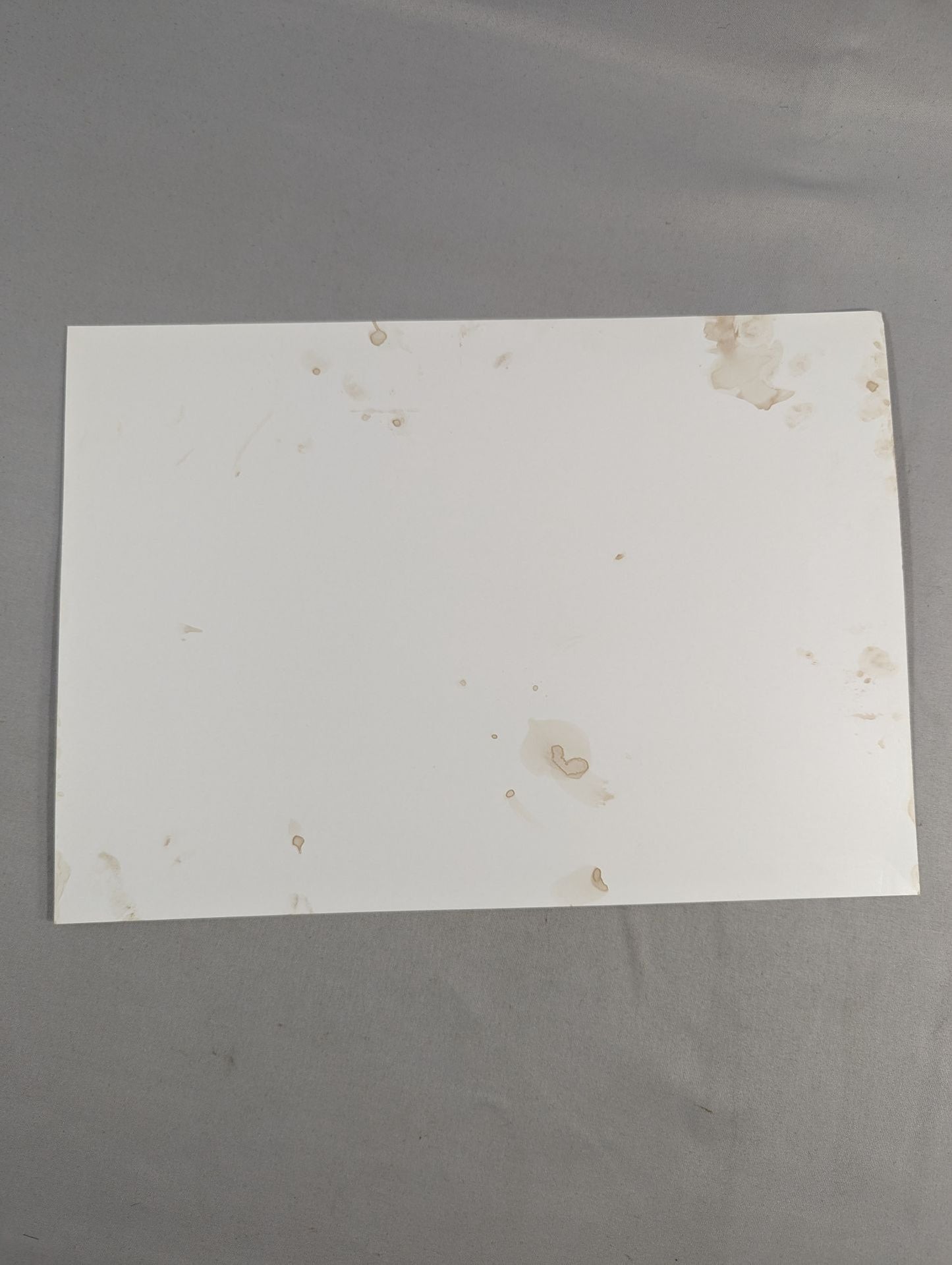 エリック・ライアン 直筆サイン入りポートレート(A-3)