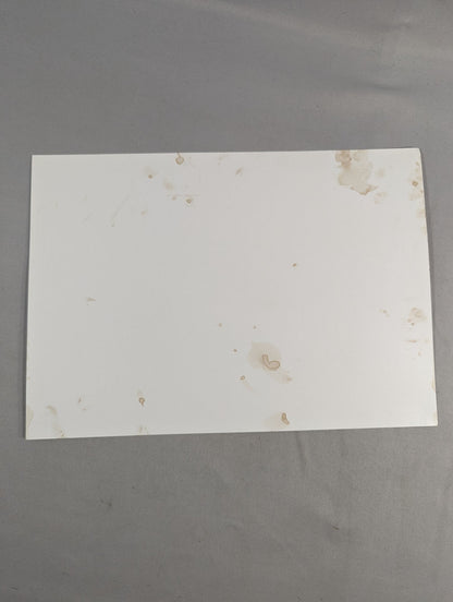 エリック・ライアン 直筆サイン入りポートレート(A-3)