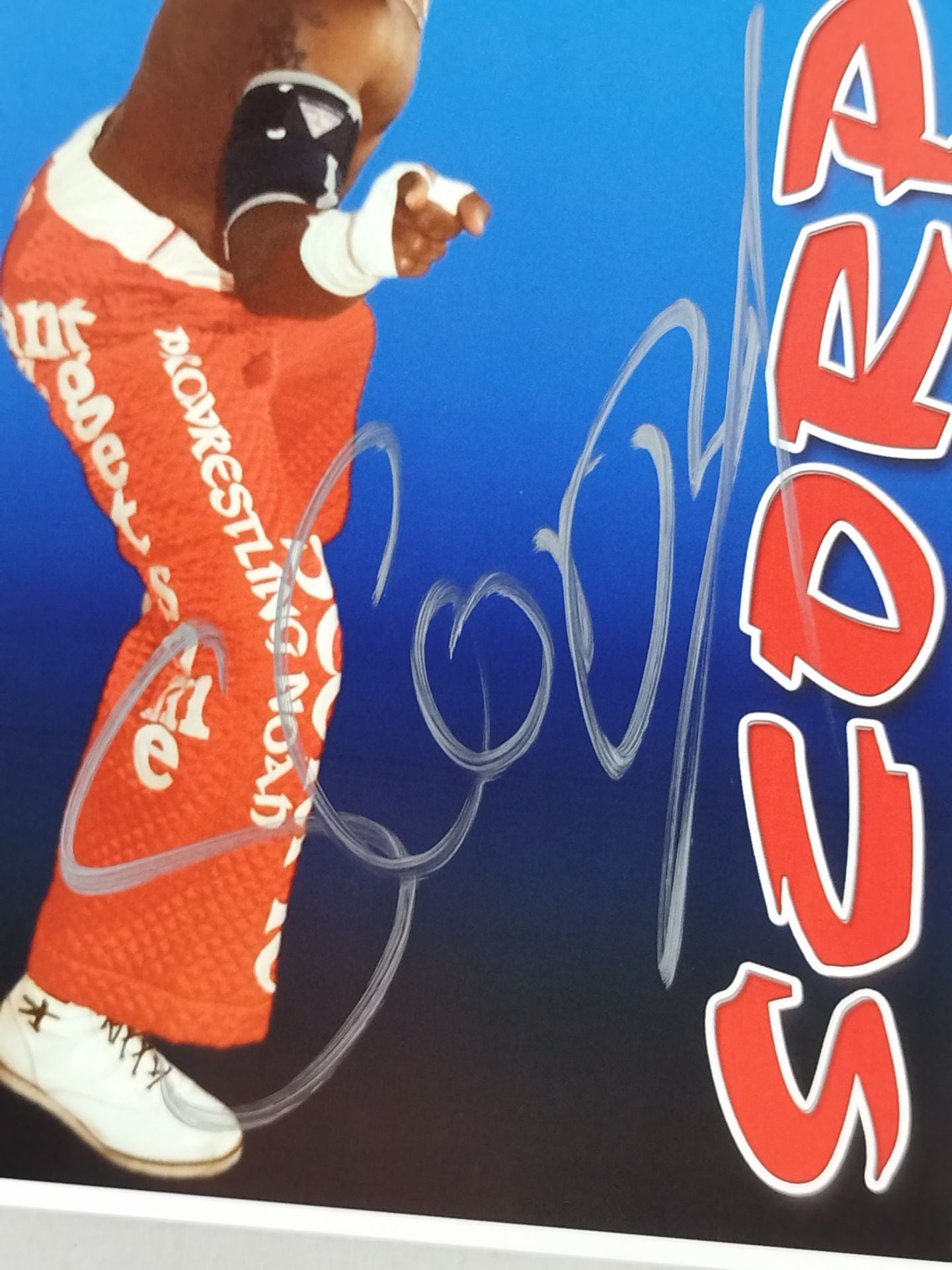 スコーピオ 直筆サイン入り ポートレート(A-2)