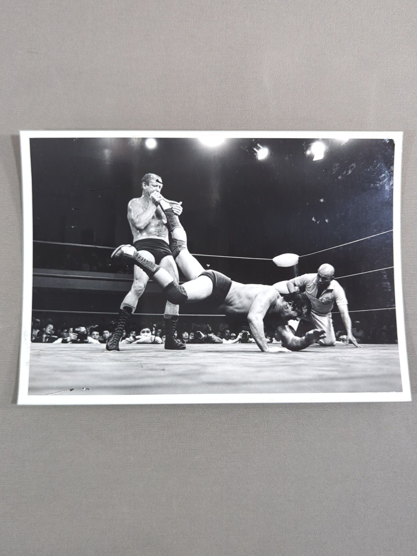 ドリー・ファンク・ジュニア 白黒写真セット(A-1)