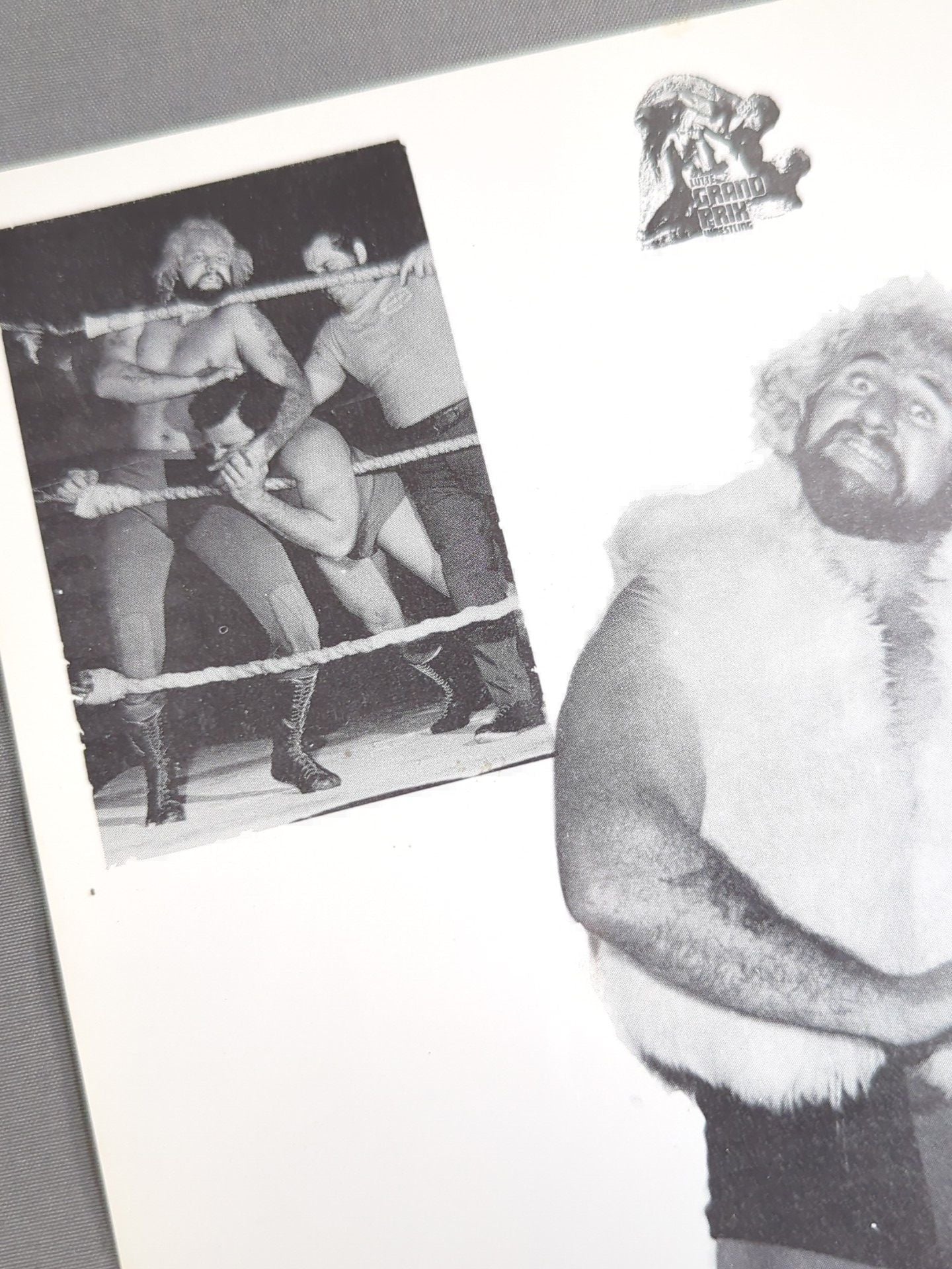 ザ・キウイズ (ザ・ブッシュワッカーズ) 白黒ポートレート (A-1)